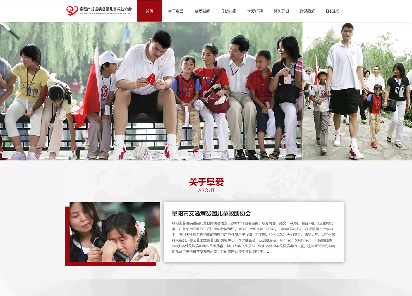 阜阳市艾滋病贫困儿童救助协会网站由恒亮网络公司设计制作
